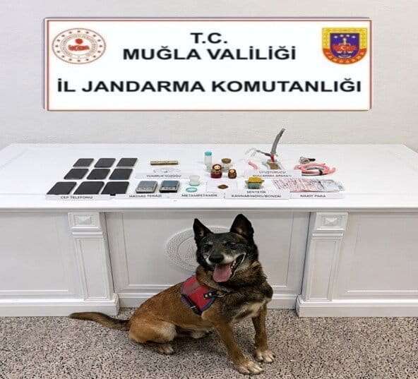 Muğla Jandarmasından Narkotik Operasyonu: 30 Şüpheli Yakalandı, 5'i Tutuklandı 1